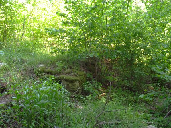 ruiny / pozostałości po zabudowaniach /?/... może dom diaka ? to była kiedyś wieś Dziewięcierz - po prawej od drogi do Moczar.