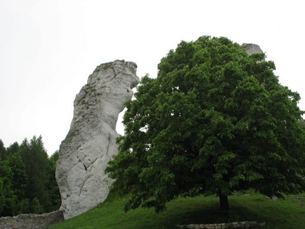 Skałki-OGRODZIENIEC