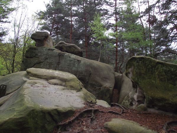 Rezerwat "Skamieniałe Miasto" - formacja skalna : Borsuk.