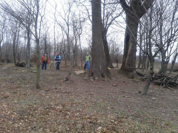 prace na cmentarzu wyznawców religii grecko-katolickiej wykonali wolontariusze Stowarzyszenia "Dziedzictwo Mniejszości Karpackich" z Zagórza.