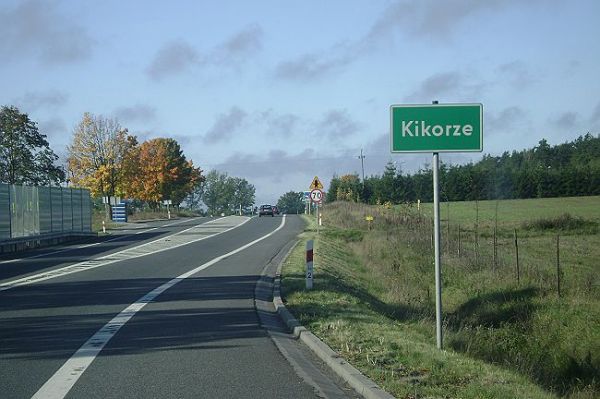 Zdjęcia Kikorze