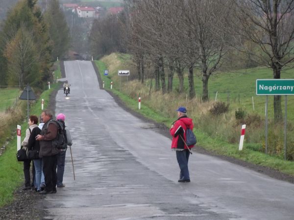 od strony m. Bukowsko /jest galeria - zapraszam/ idziemy - w kierunku do m. Nowotaniec /jest galeria - zapraszam/ a po drodze przy trasie i na lewo  od niej pod