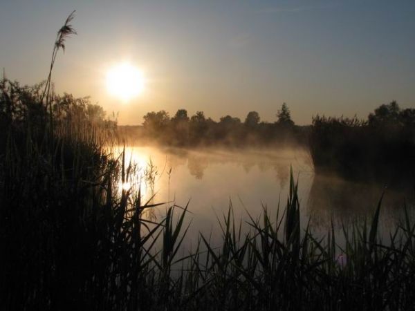 Staw w Chwałowicach o poranku