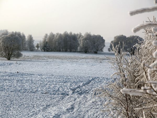 zdjecie Tyniewicze Duże