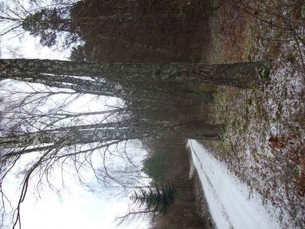 Droga przaz wieś Września w zimie.