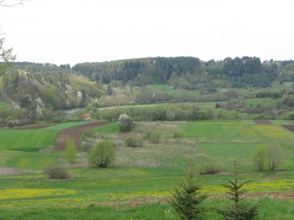 zakole rzeki Osławy i wzgórze Jedlicz - 404m npm.