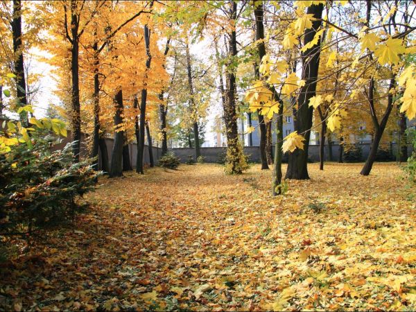 Klasztor i park  ss. Niepokalanek na Głębokiej.