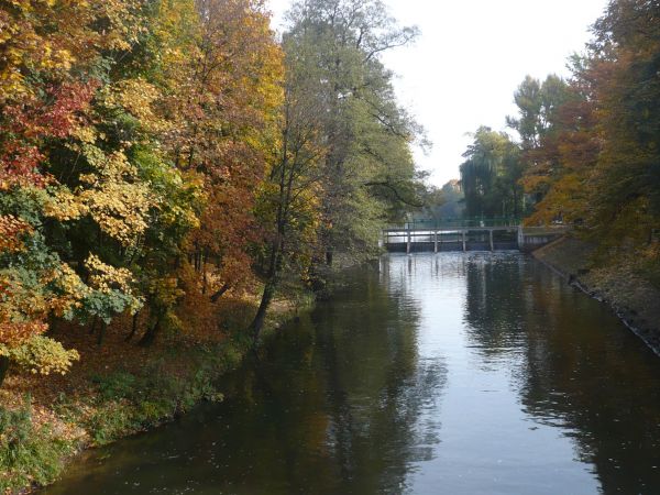Widok na rzekę Prosnę z mostu na ul.Częstochowskiej w kierunku parku.