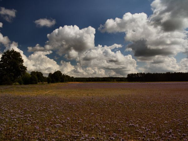 zdjecie Tyniewicze Duże
