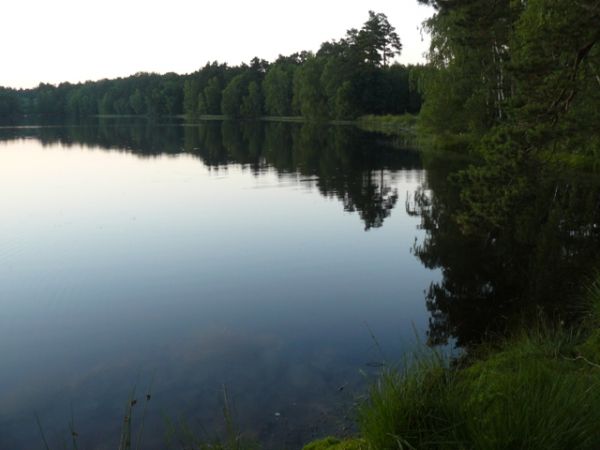 Okolice Sarbska - jezioro Czarne
