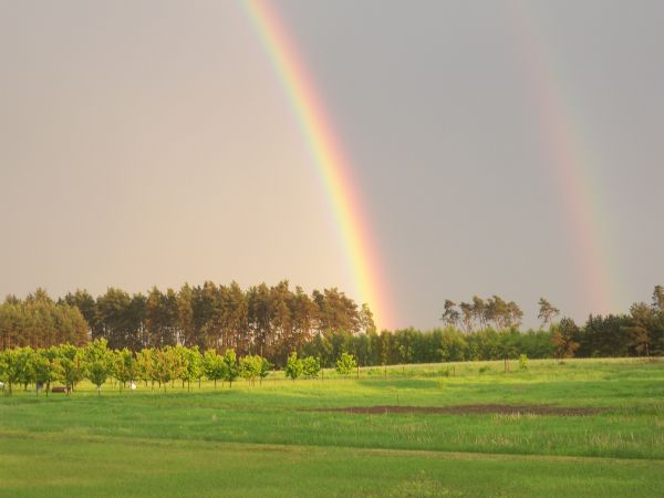zdjecie Trzęsów