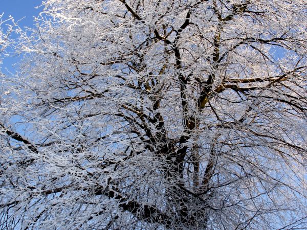 Zima 2010/11
      - 3 -