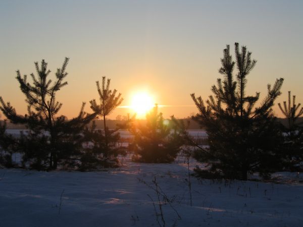 zdjecie Grądy Szlacheckie