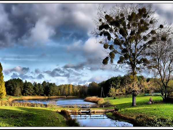 Arboretum Leśne w Zielonce