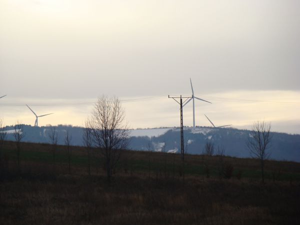 północne stoki Pogórza Bukowskiego śniegiem przyprószone a na straży jakby wiatraki farmy pozyskiwania energii ekologicznej a wiatrów tam Ci dostatek.