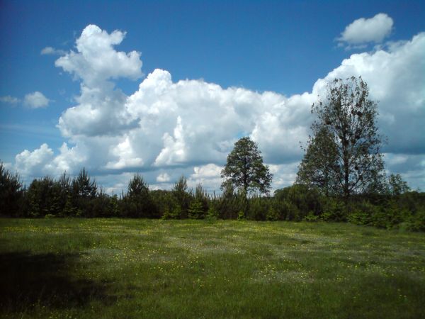 Okolice przy kapliczce na wodzie