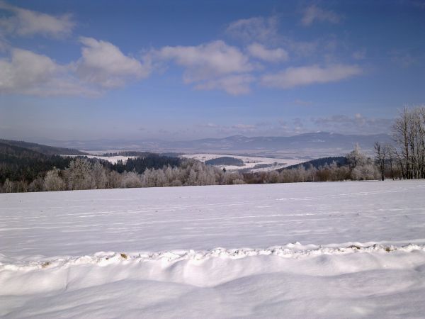 Różanka - żółtym szlakiem na Bochniak (713 m n.p.m.)