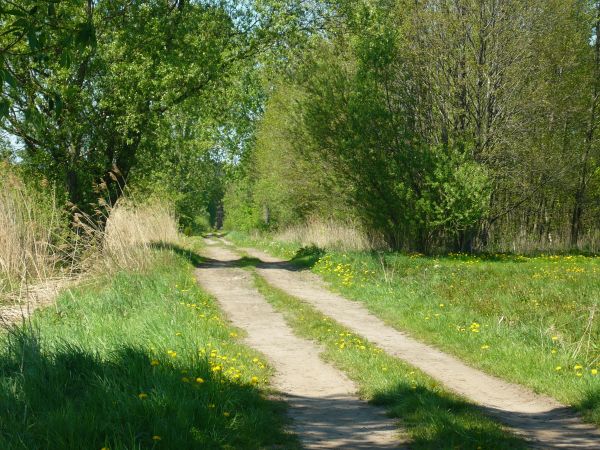 zdjecie Wola Wężykowa