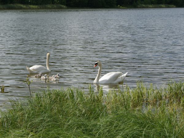 "Rodzinka" Machliny - czerwiec 2010