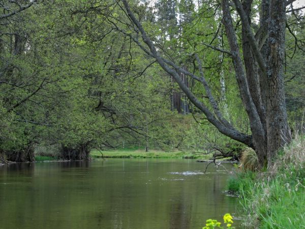 Kanał rzeki Wdy oraz teren nad nim położony