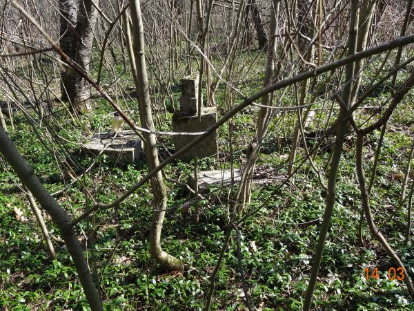 na cmentarzu wyznawców obrządku grecko-katolickiego, do czasu wysiedleń - mieszkańców tej wsi.
