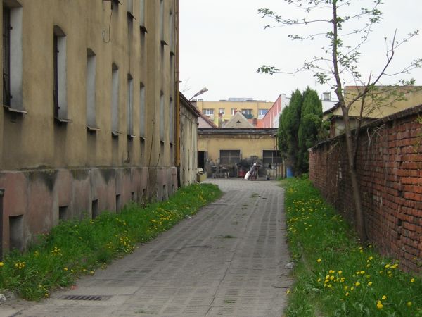 zdjecie Sulechów