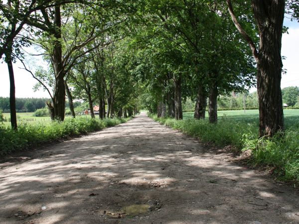 Droga w kierunku-,,domek,,