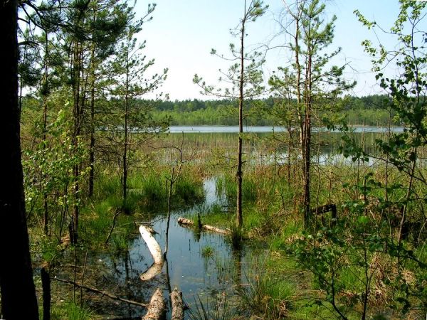 zdjecie Wola Uhruska