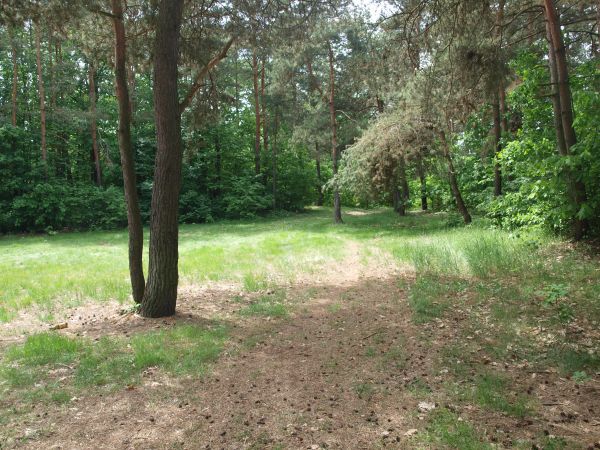 zdjecie Gniewczyna Łańcucka