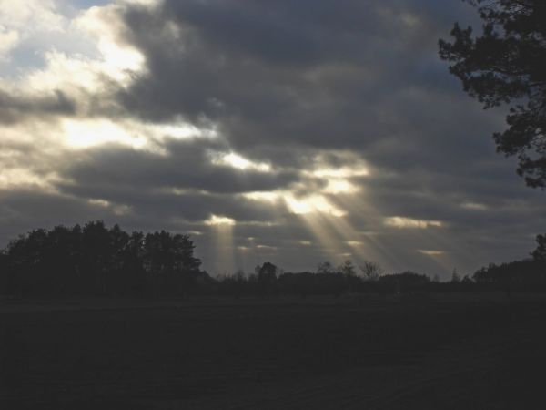 Wiało, ale też próbowało świecić