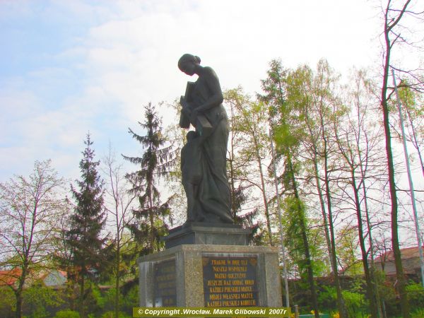 zdjecie Licheń Stary