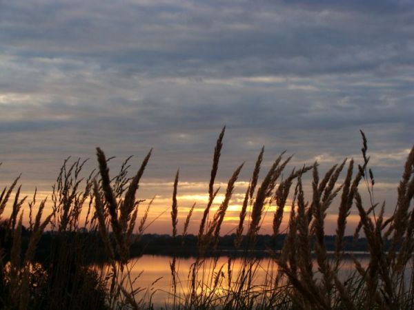 Nad jeziorem Ławki ...