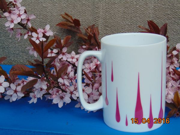 zdjecie Żarki Średnie