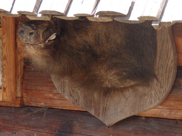 Stare Drawsko - Drahim