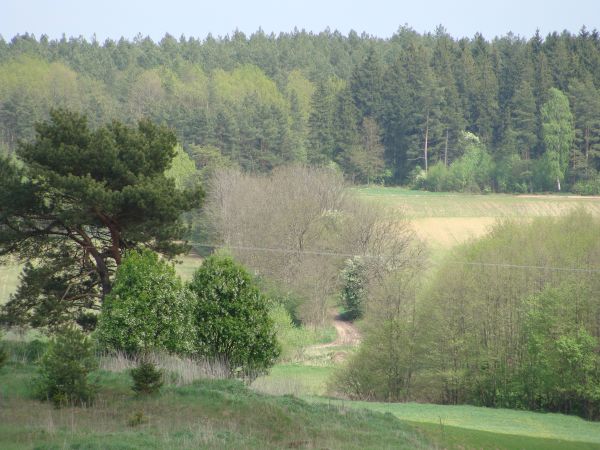 Najbliższa okolica:)
