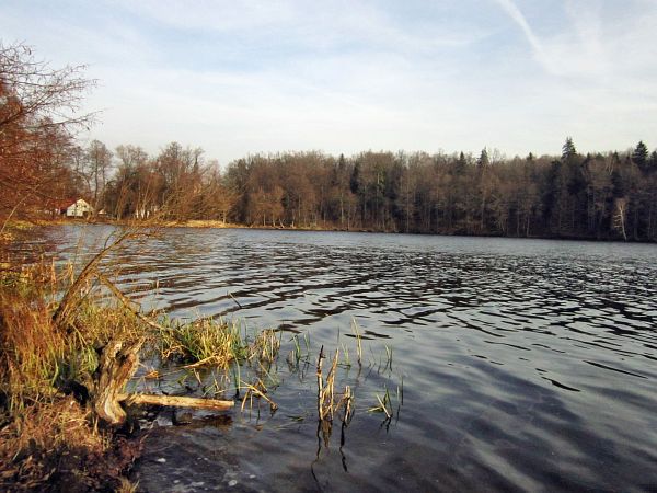 Jezioro Dejnowa w Świętej Lipce 2011-12-12