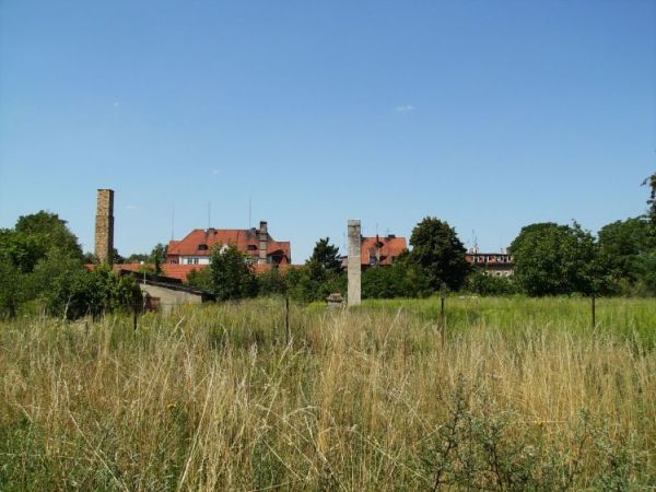 zdjecie Sulechów