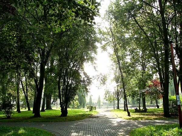 Sulechów-park - widok na fontannę