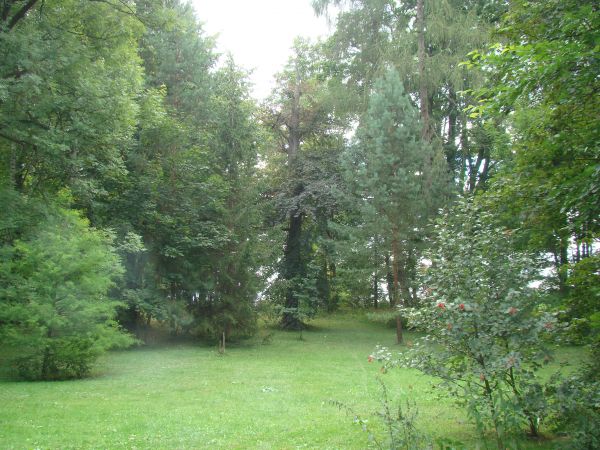 kiedyś nasadzenia parkowe były przemyślane, "monitorowane" - ale i dzisiaj podziwiane są, nowożeńcy sesje tu organizują itp. zachwyty...