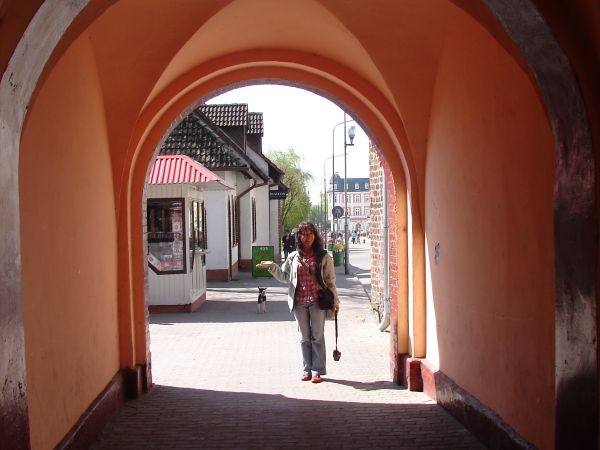 Swidwin Brama Kamienna