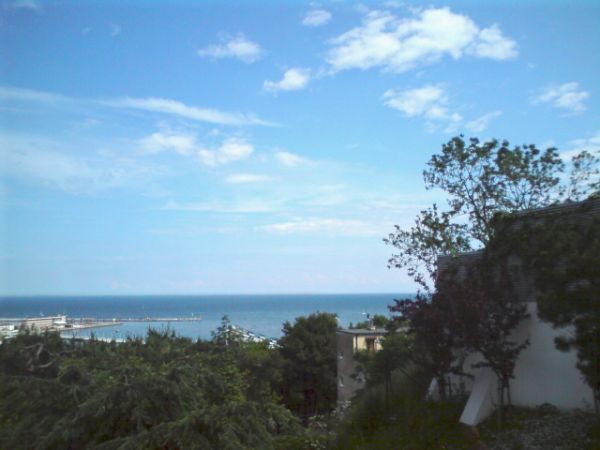 zdjecie Gdynia