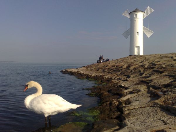 Falochron Zachodni ze Stawą Młyny – o długości ok. 350 m, wybudowany w latach 1818-1923, na końcu plaży na wyspie Uznam przy ujściu Świny do Bałtyku. Stawa Młyn
