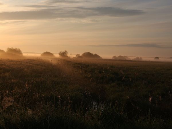 zdjecie Tyniewicze Duże