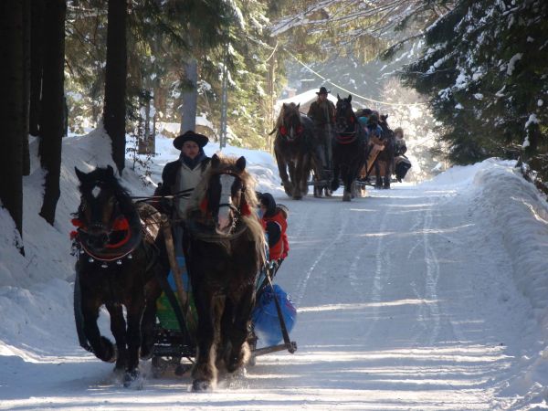 Zimą w gminie Ujsoły panują świetne warunki do uprawiania sportów zimowych, oraz do organizacji kuligów.  Lokalni gazdowie z stowarzyszenia „Gazdów z doliny Cic