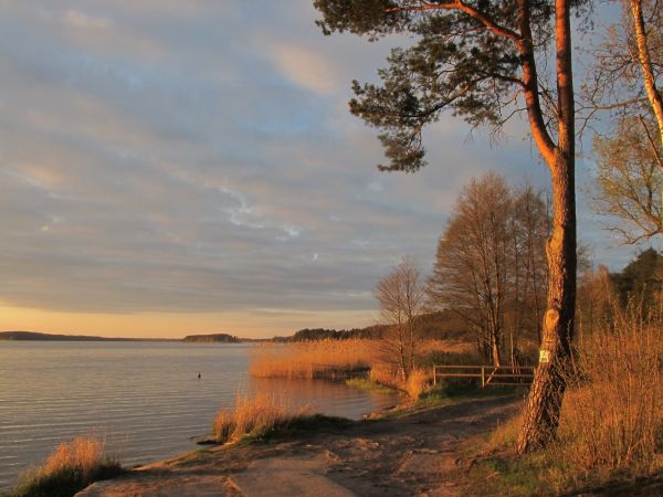 Na brzegu jeziora Wdzydze przy OW Jasnochówka