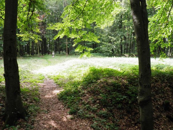 Cmentarz Wojenny z I Wojny Światowej . Widok ogólny.