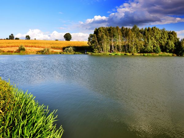 zdjecie Wodzisław Śląski