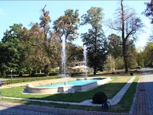 Zespół pałacowo - parkowy Czartoryskich .