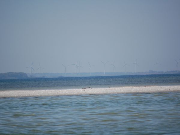 Mewia Rewa a w tle Puck i wiatraki