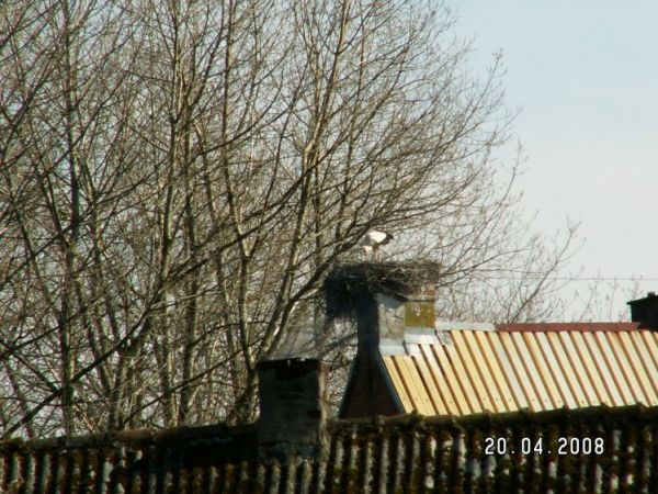 zdjecie Gardna Wielka